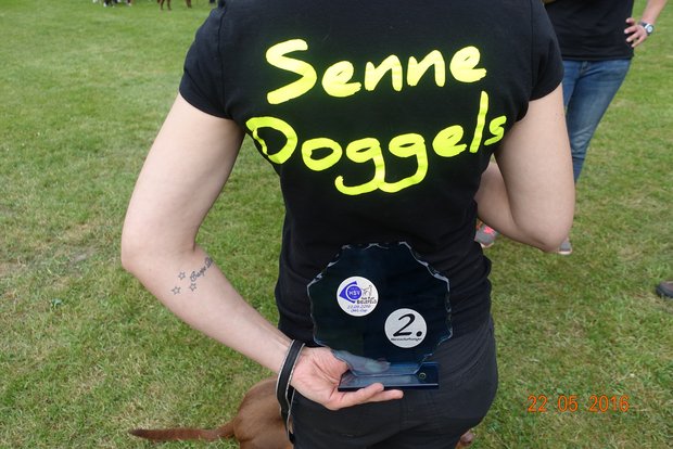 Senne Doggels beim OWL Cup