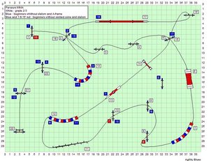 Agility-Parcours