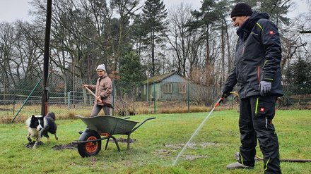 Balu mit seinem ganz eigener Auffassung von Arbeitseinsatz