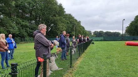 Zuschauer bei der Agility-Vorführung